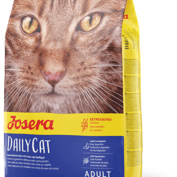 DAILYCAT