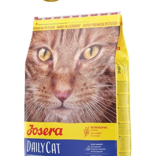 DAILYCAT